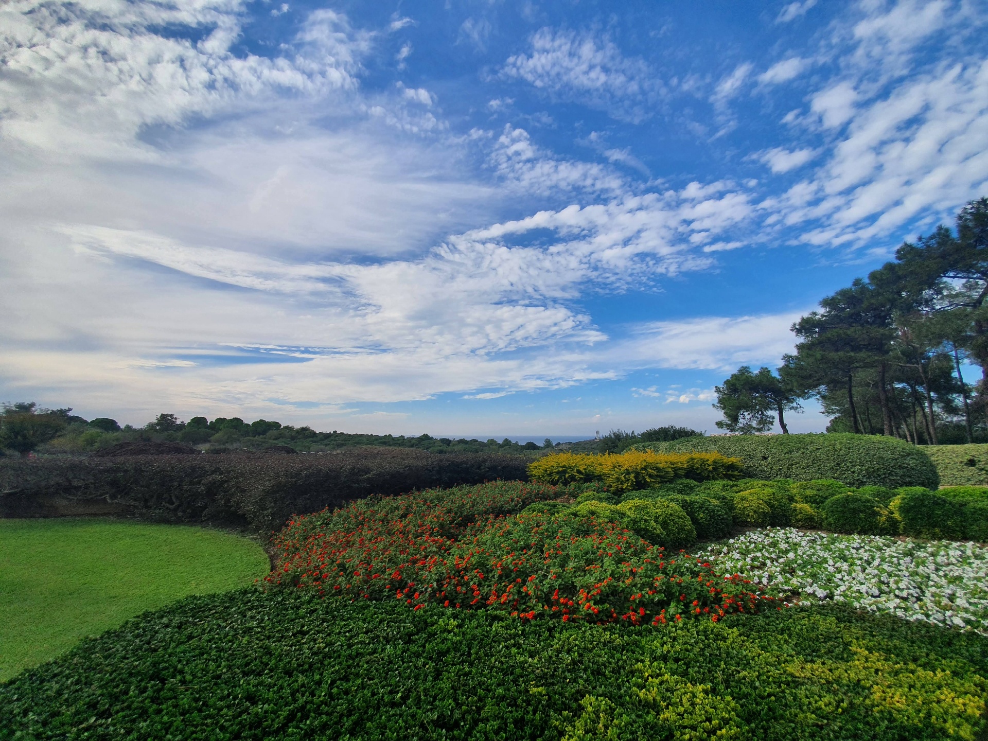 Nature and gardens in Zichron Yaakov